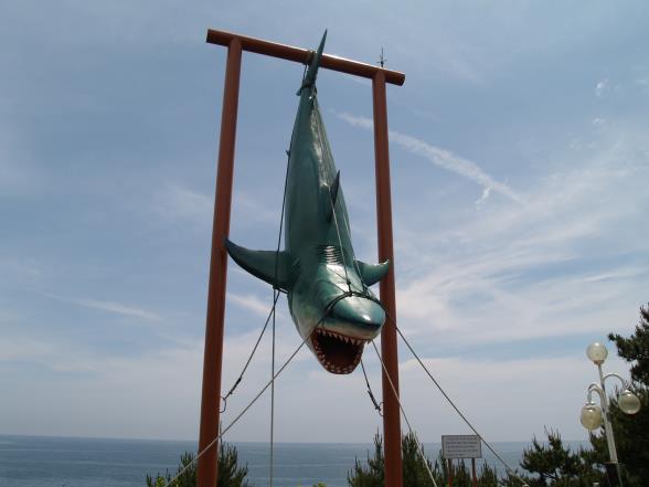 신영영화박물관