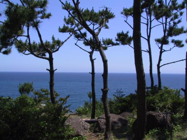 신영영화박물관