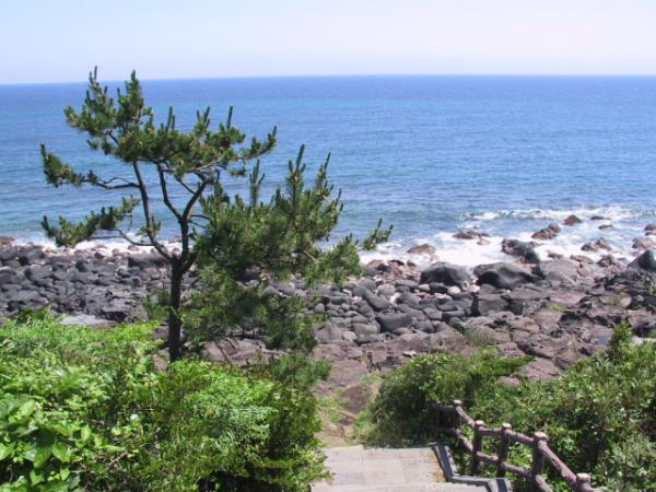 신영영화박물관