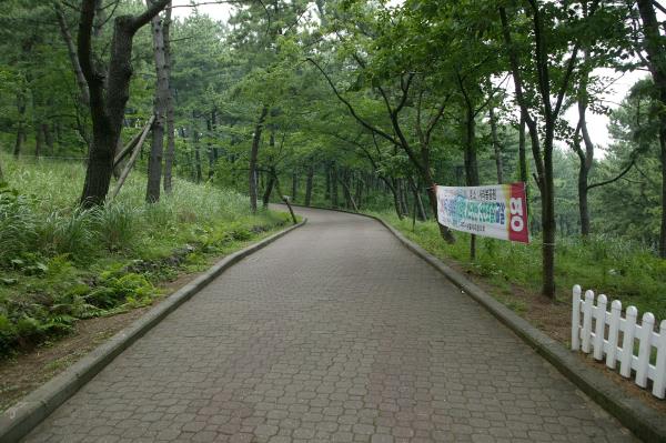 사라봉 산책로