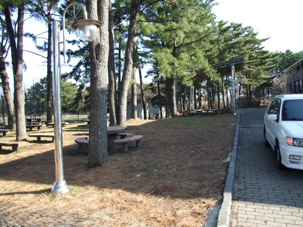 탐라도서관