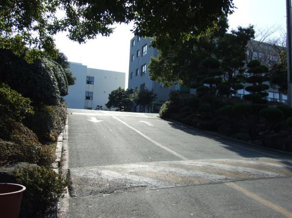제주한라대학교