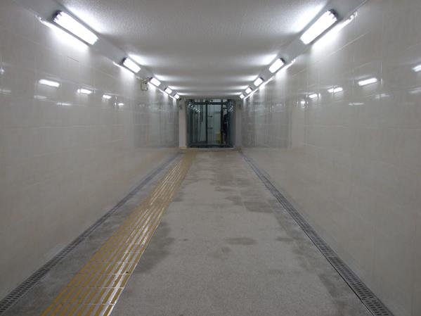 제주서중학교