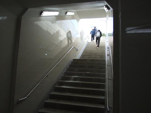 제주서중학교