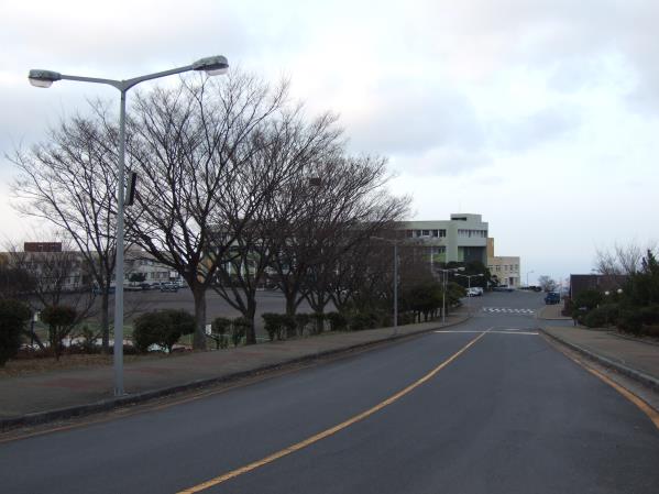 제주국제대학교
