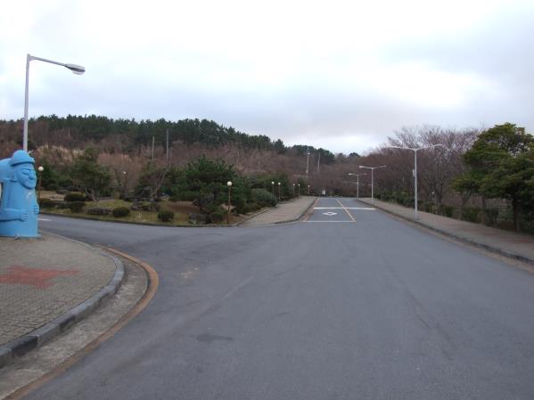 제주국제대학교