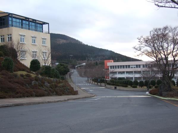 제주국제대학교