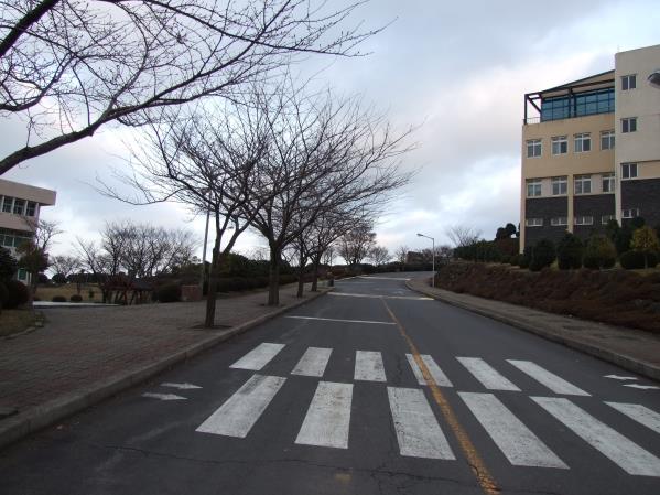 제주국제대학교