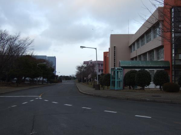 제주국제대학교