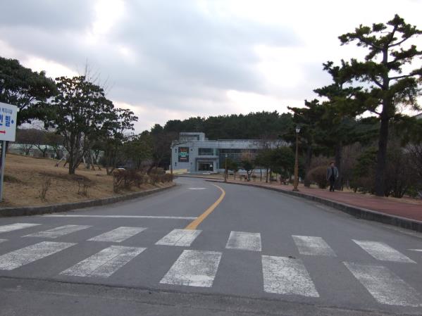 제주대학교