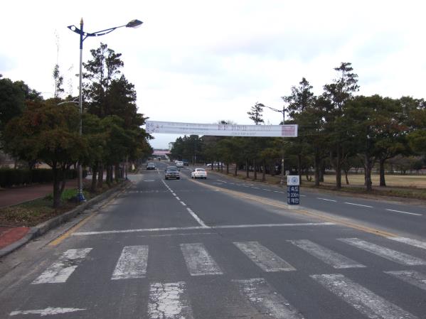 제주대학교