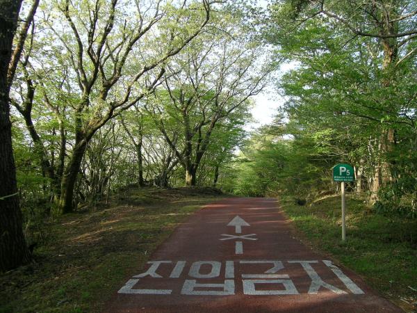 서귀포자연휴양림
