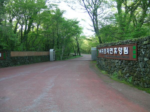 서귀포자연휴양림