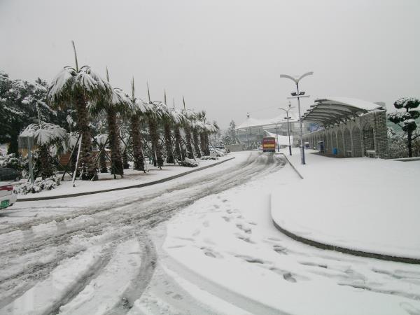 제주관광대학교