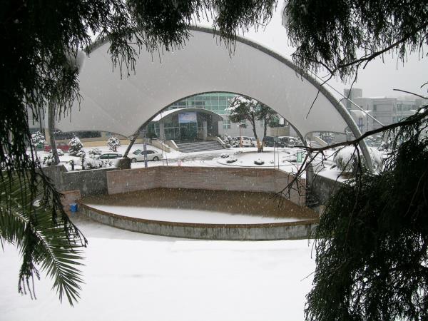 제주관광대학교