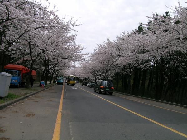 제주대학교