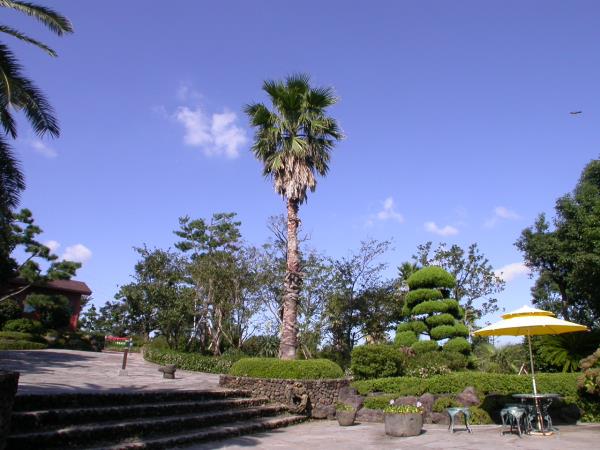 일출랜드