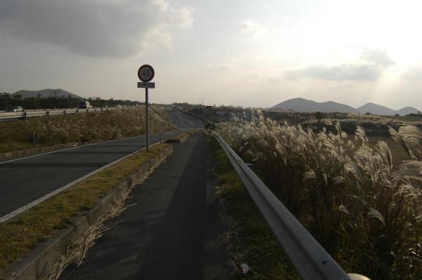 평화로 (서부관광도로)