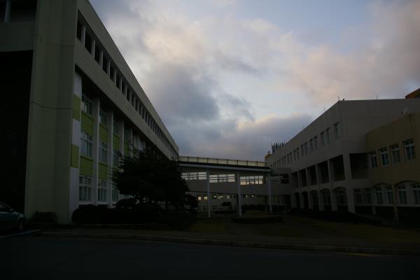 제주국제대학교