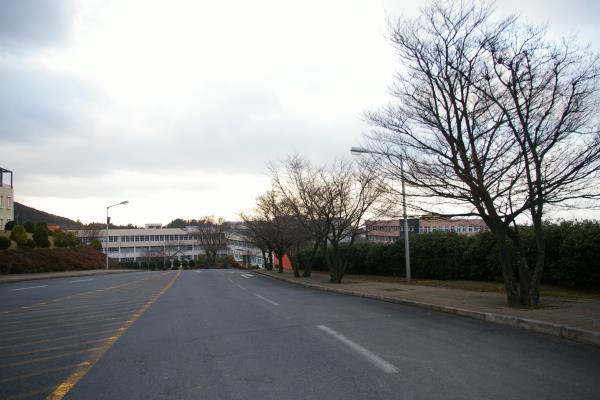 제주국제대학교