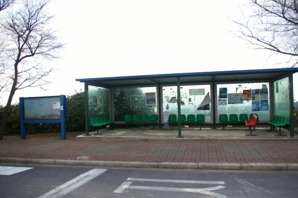 제주국제대학교