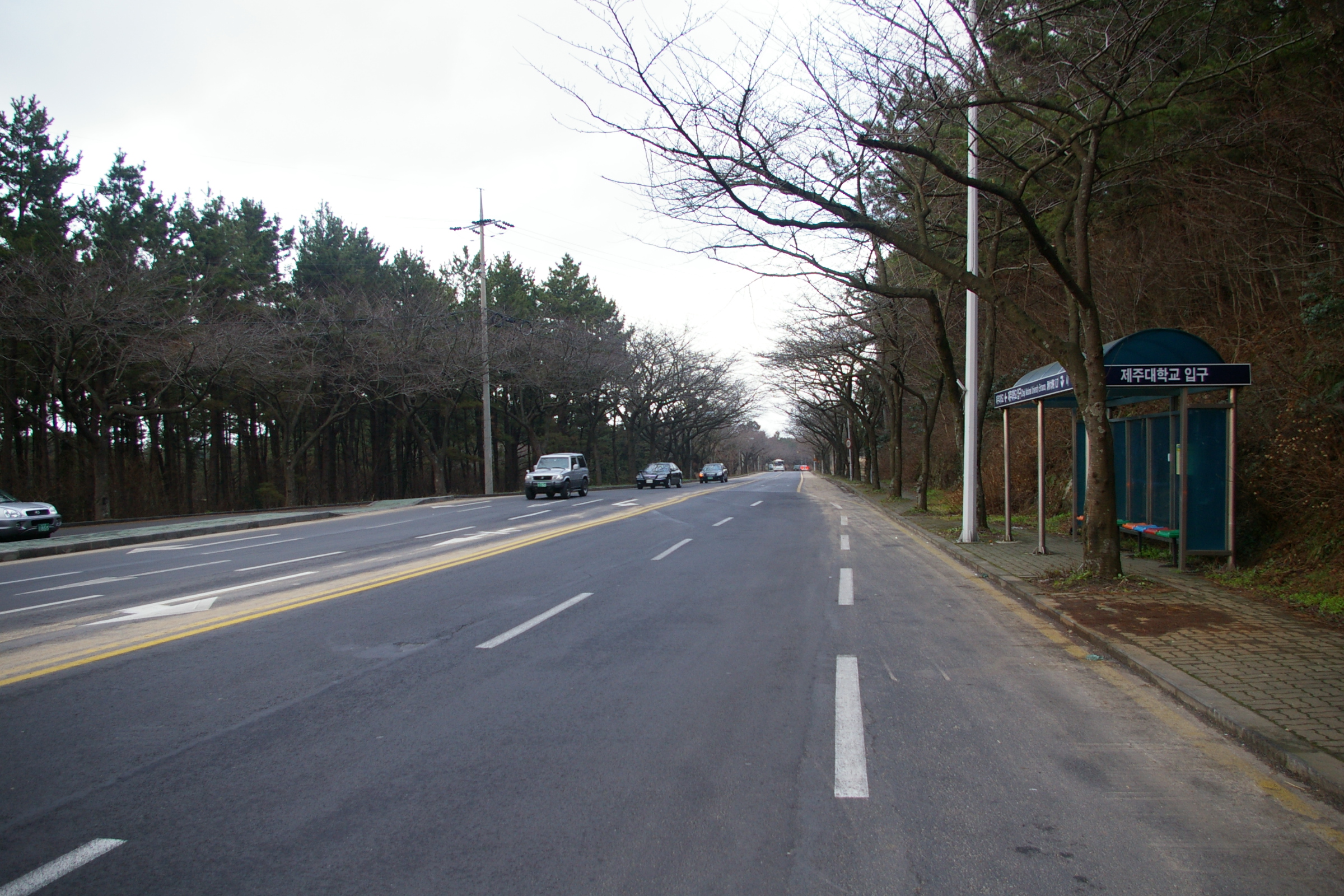 제주대학교 입구