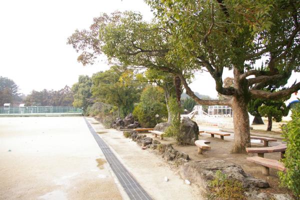 아라초등학교