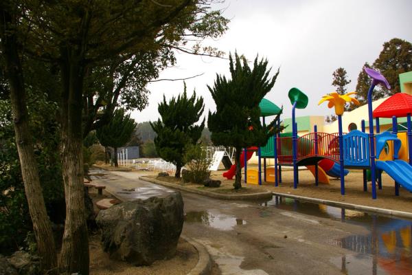 아라초등학교