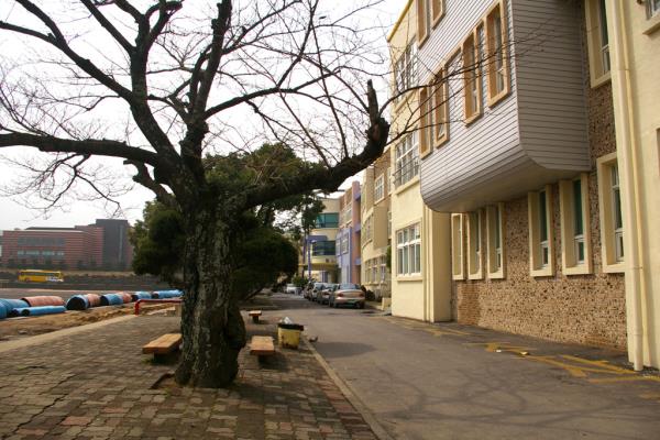제주제일중학교