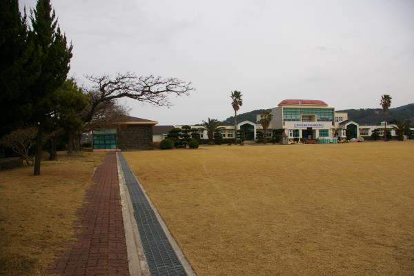 곽금초등학교