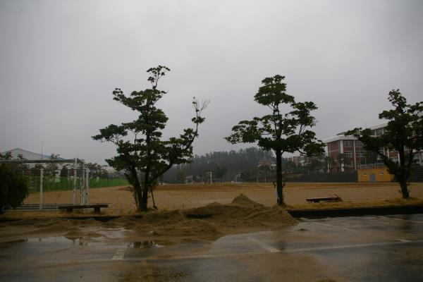 신성여자중학교