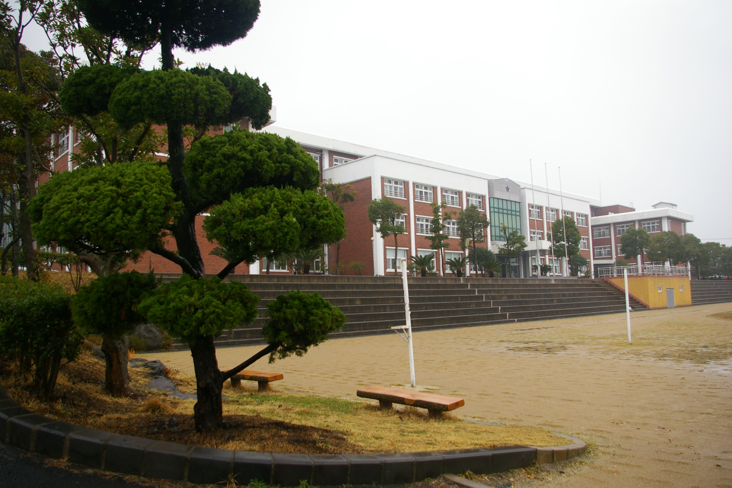 신성여자중학교