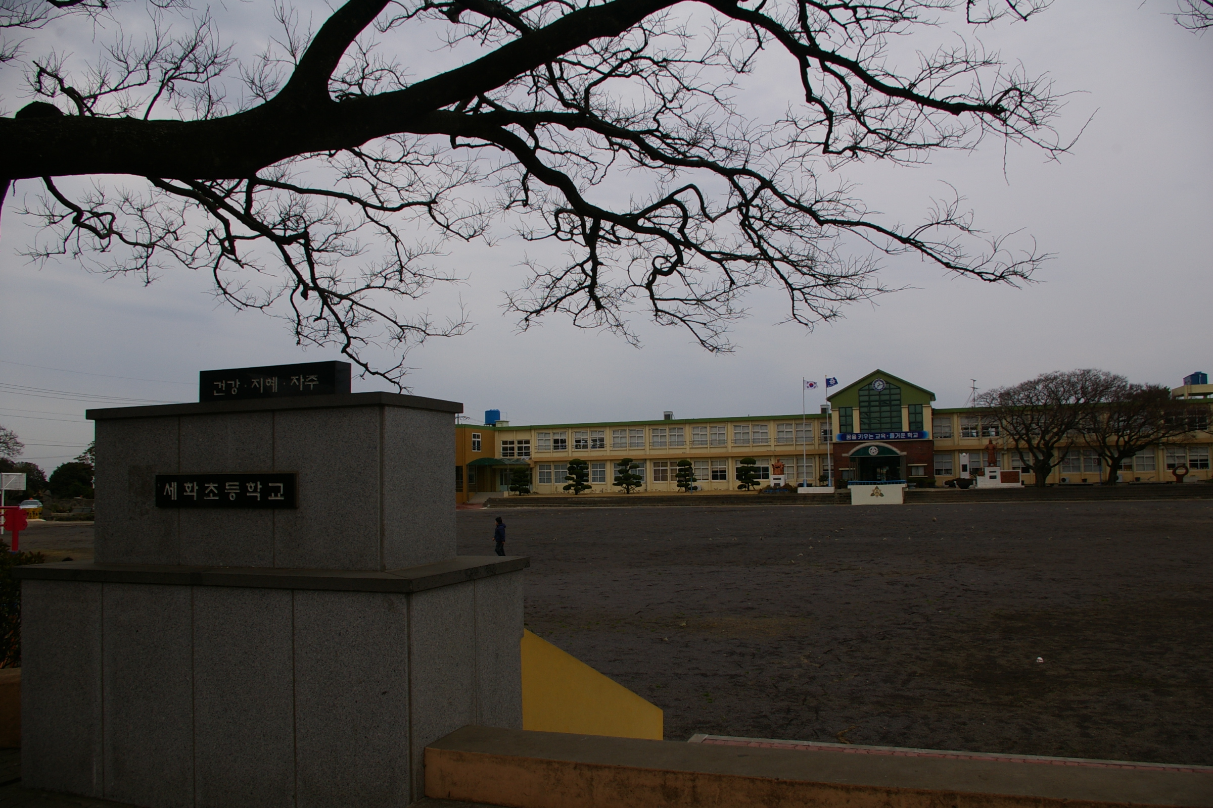 세화초등학교