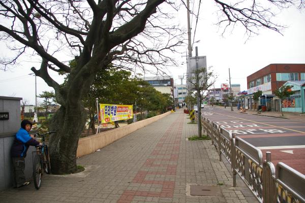세화초등학교