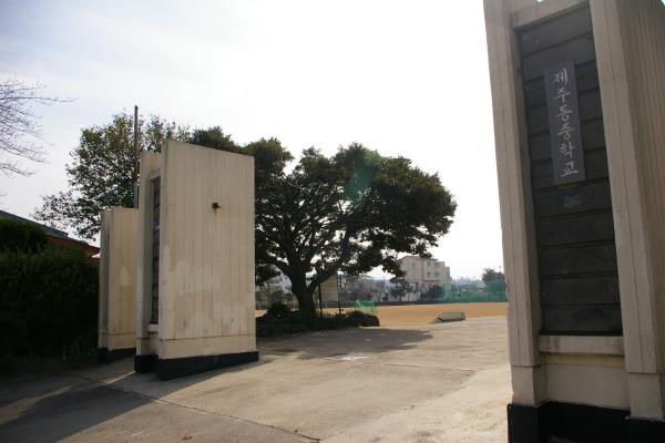 제주동중학교