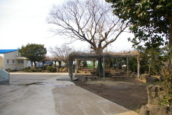 제주동중학교