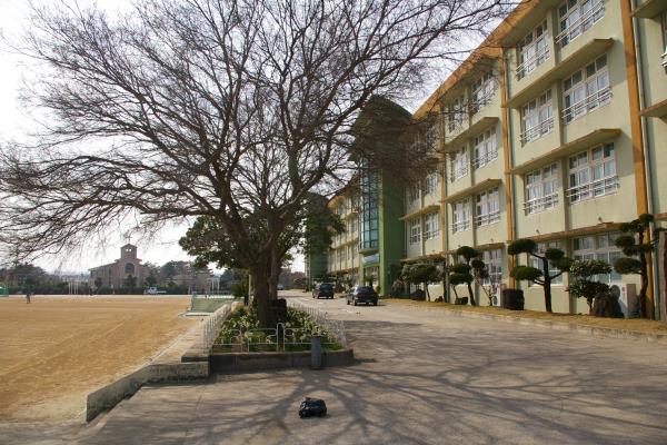 제주동중학교