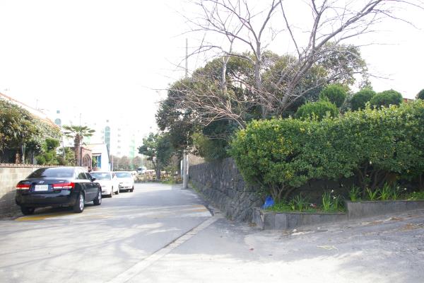제주동중학교