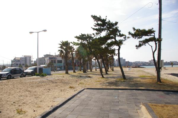 함덕서우봉해변 (함덕해수욕장)
