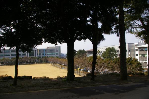 제주관광대학교