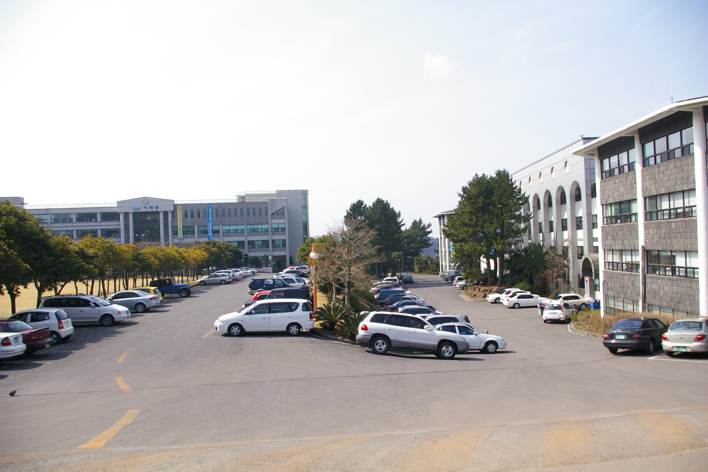 제주관광대학교
