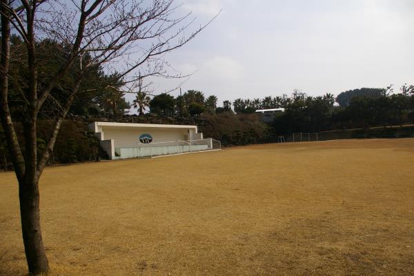 제주관광대학교