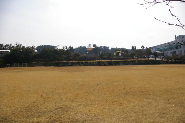 제주관광대학교