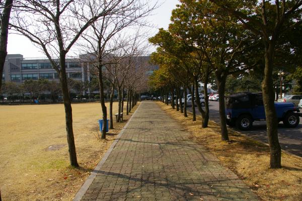 제주관광대학교