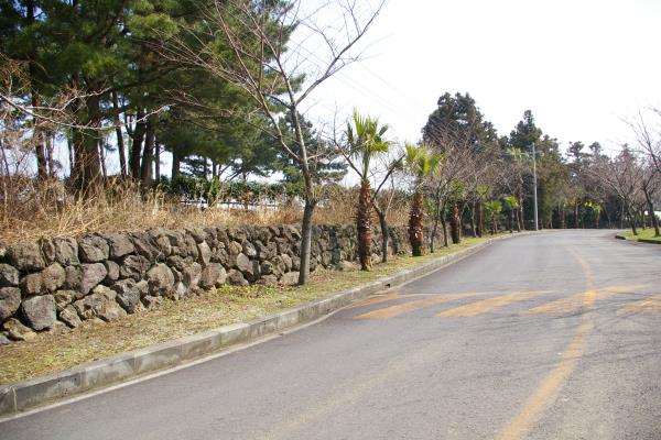 제주관광대학교부속유치원