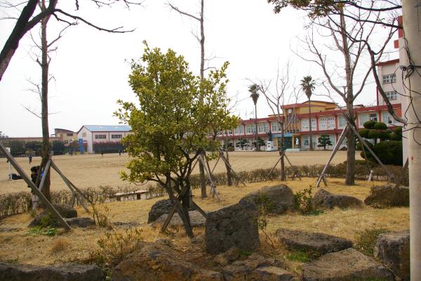한림초등학교