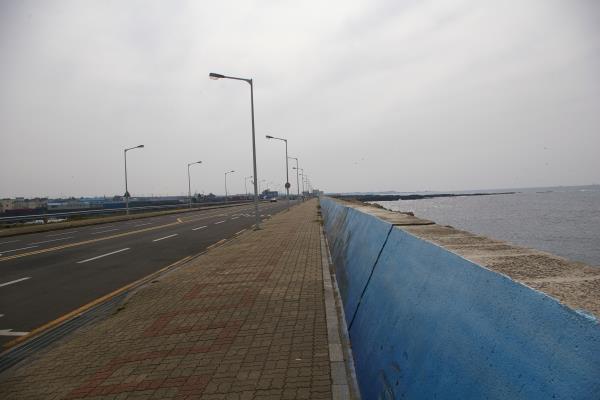 한림항입구 부근 도로