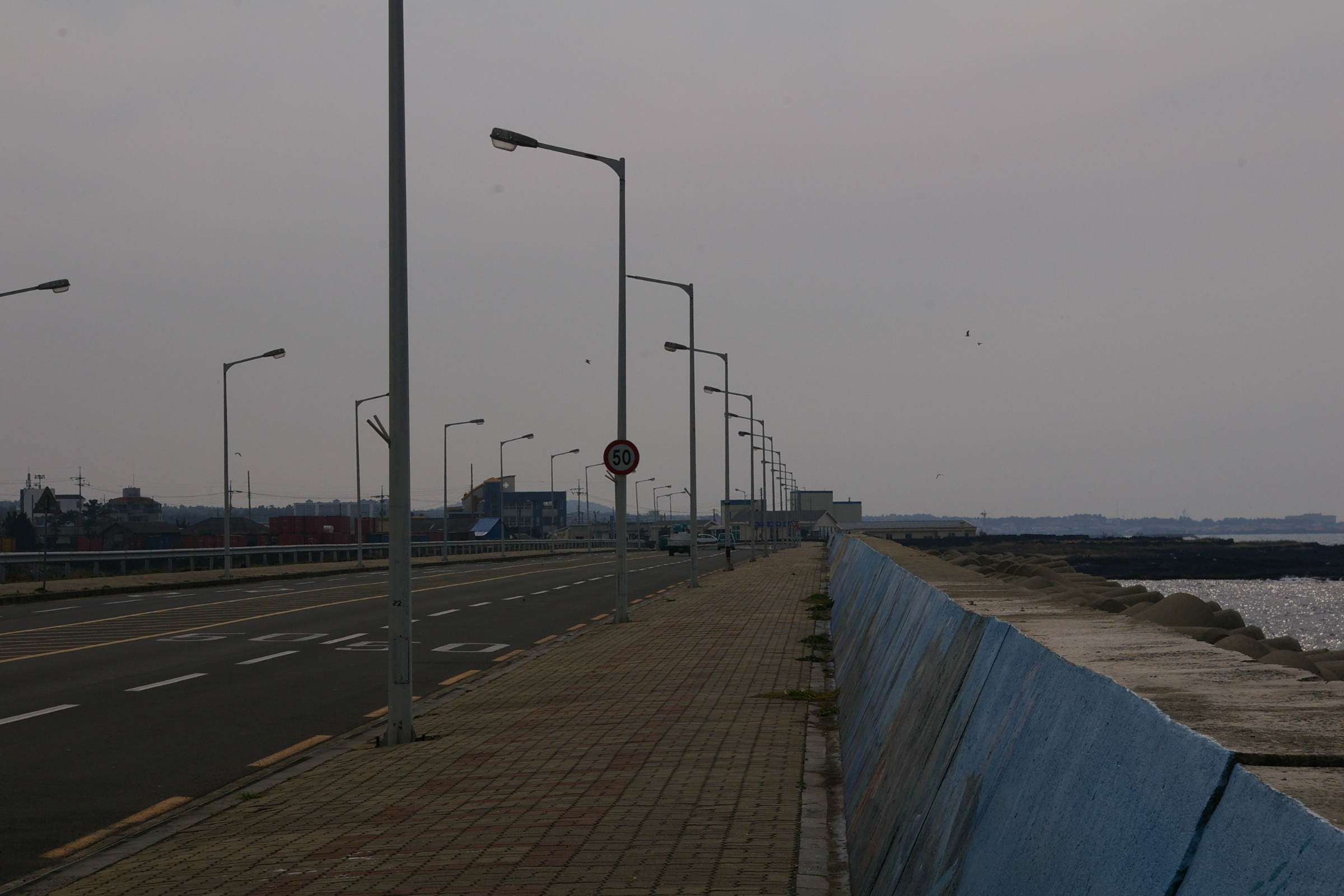 한림항입구 부근 도로