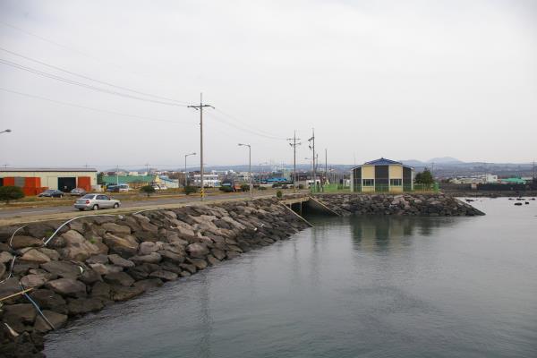 한림항입구 부근 도로