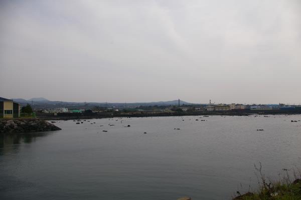 한림항입구 부근 도로